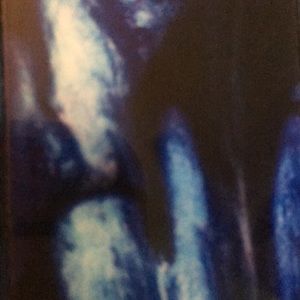 Meet your Posher, Logan